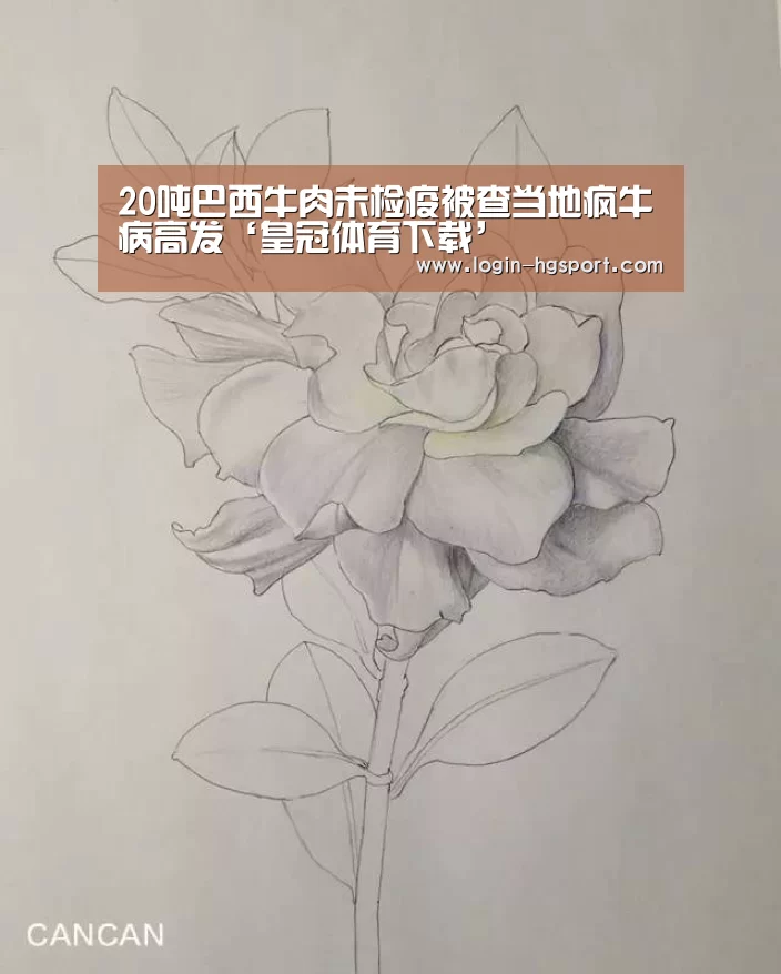 皇冠入口