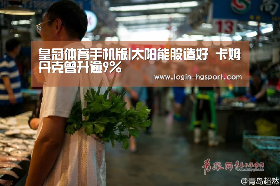 皇冠体育手机版