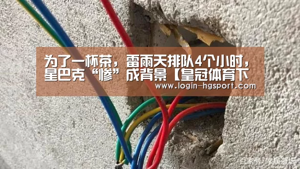 皇冠入口