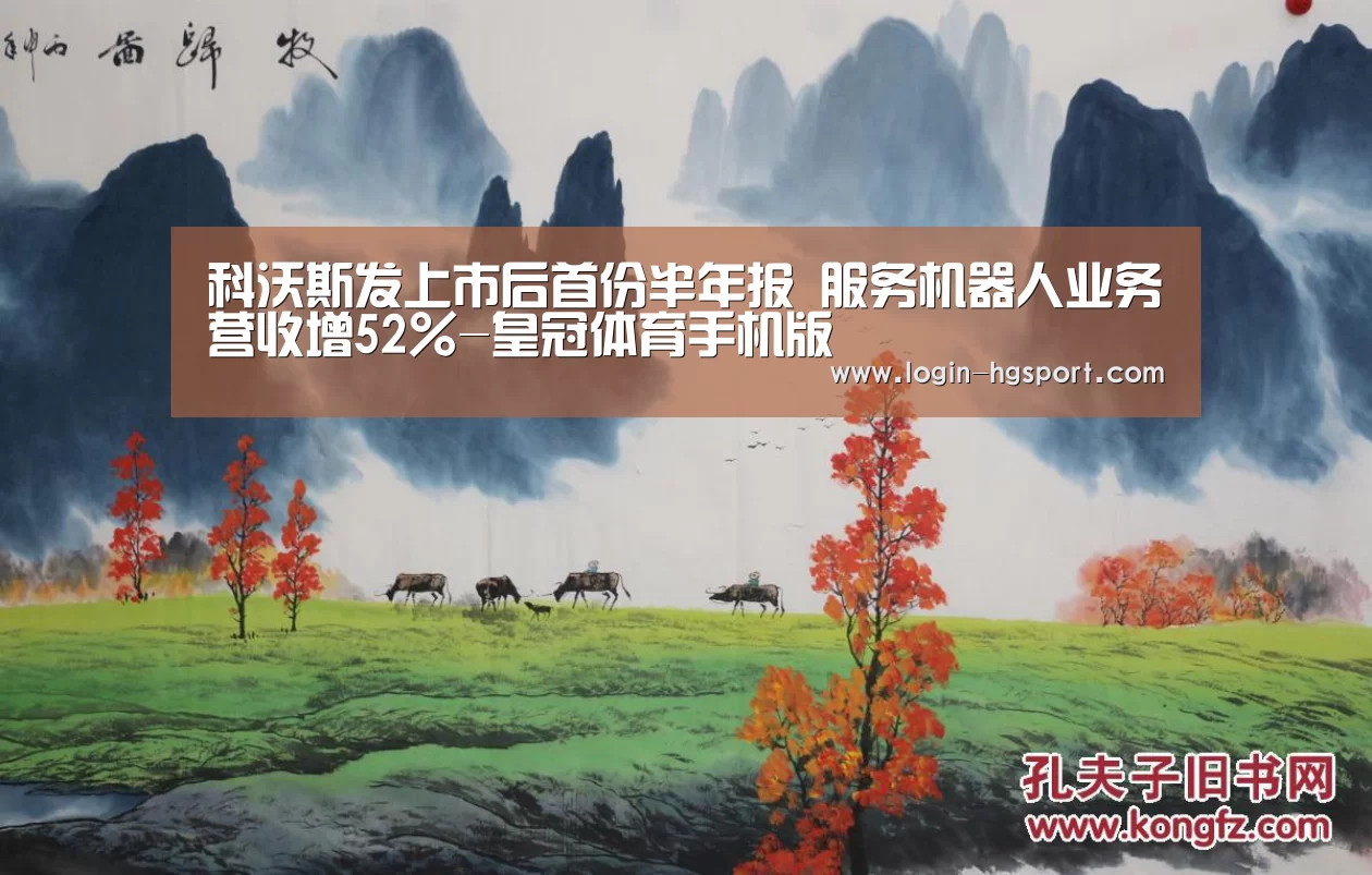科沃斯发上市后首份半年报 服务机器人业务营收增52%-皇冠体育手机版(图1) 皇冠入口