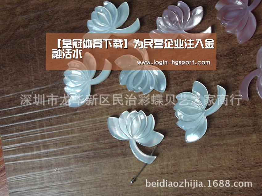 【皇冠体育下载】为民营企业注入金融活水(图4) 皇冠入口